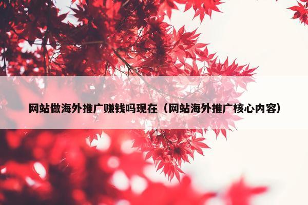 网站做海外推广赚钱吗现在（网站海外推广核心内容）