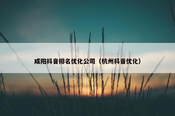 咸阳抖音排名优化公司（杭州抖音优化）