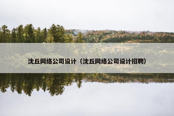 沈丘网络公司设计（沈丘网络公司设计招聘）