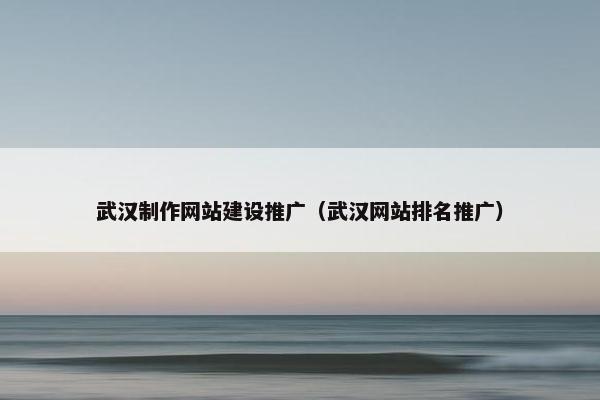 武汉制作网站建设推广（武汉网站排名推广）