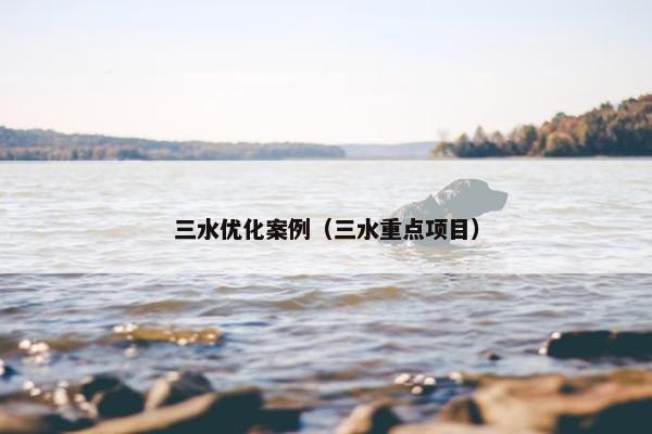 三水优化案例（三水重点项目）