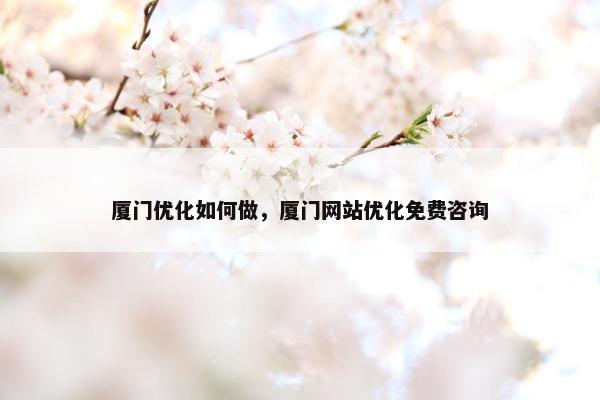 厦门优化如何做，厦门网站优化免费咨询
