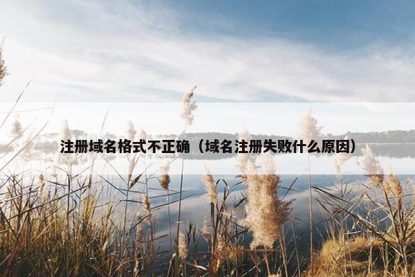 注册域名格式不正确（域名注册失败什么原因）