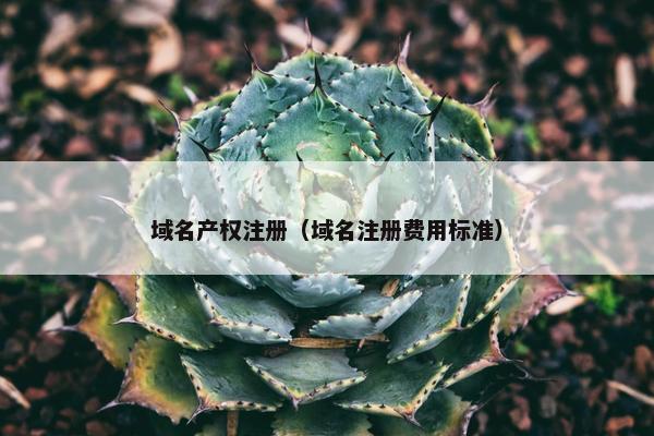 域名产权注册（域名注册费用标准）
