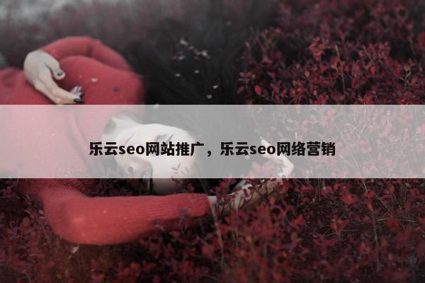 乐云seo网站推广，乐云seo网络营销