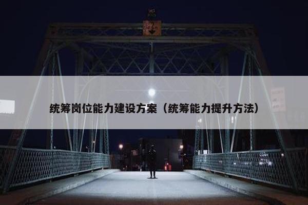 统筹岗位能力建设方案（统筹能力提升方法）