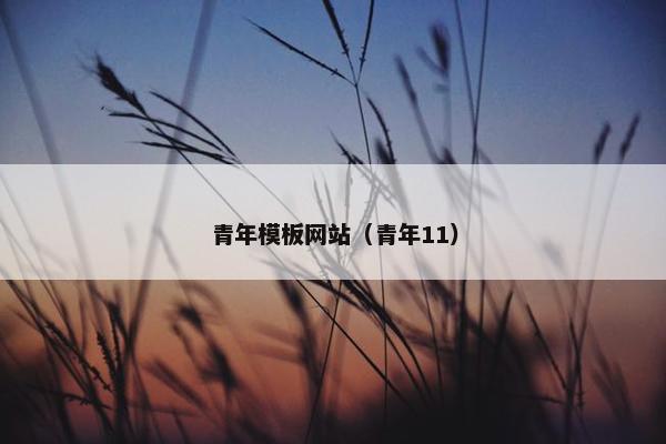 青年模板网站（青年11）