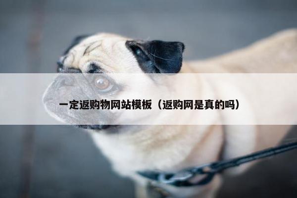 一定返购物网站模板（返购网是真的吗）