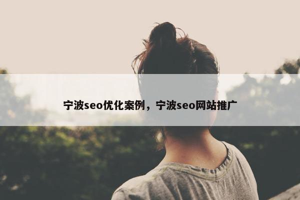 宁波seo优化案例，宁波seo网站推广