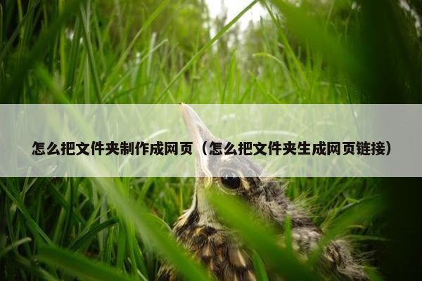 怎么把文件夹制作成网页（怎么把文件夹生成网页链接）