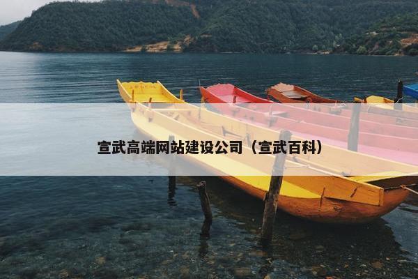 宣武高端网站建设公司（宣武百科）