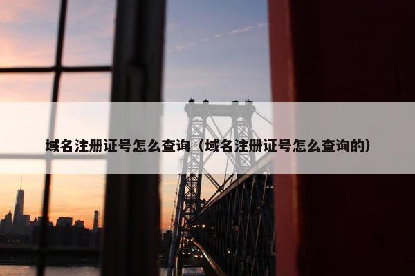 域名注册证号怎么查询（域名注册证号怎么查询的）
