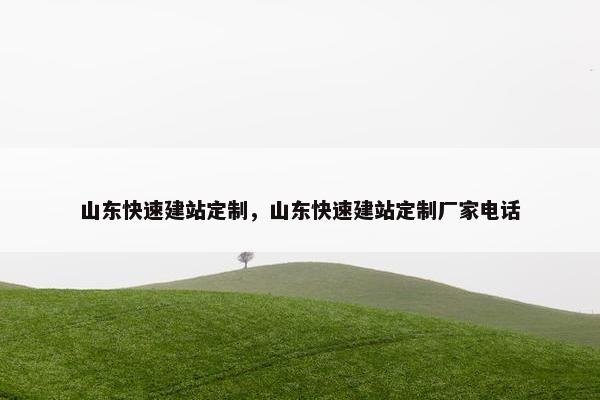 山东快速建站定制，山东快速建站定制厂家电话