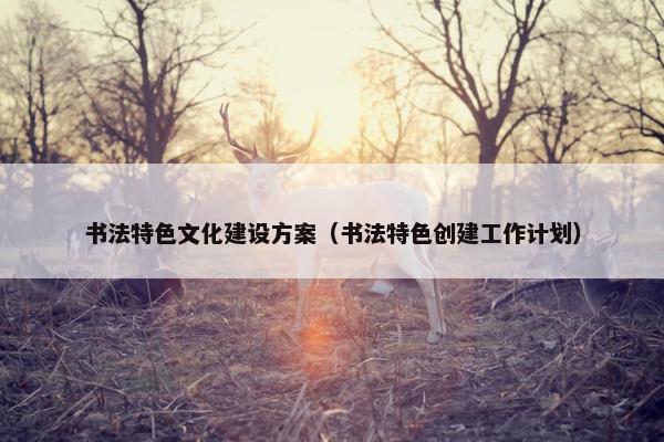 书法特色文化建设方案（书法特色创建工作计划）