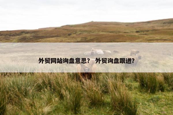 外贸网站询盘意思？ 外贸询盘跟进？