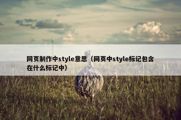 网页制作中style意思（网页中style标记包含在什么标记中）