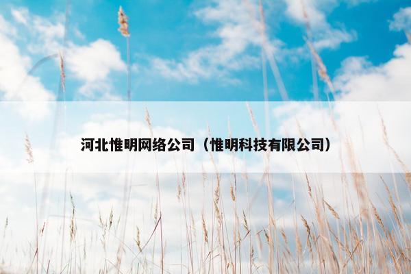 河北惟明网络公司（惟明科技有限公司）