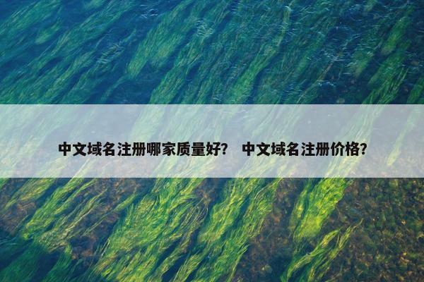 中文域名注册哪家质量好？ 中文域名注册价格？