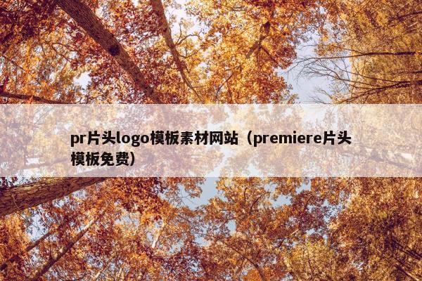pr片头logo模板素材网站（premiere片头模板免费）