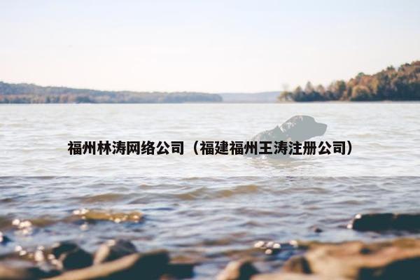 福州林涛网络公司（福建福州王涛注册公司）
