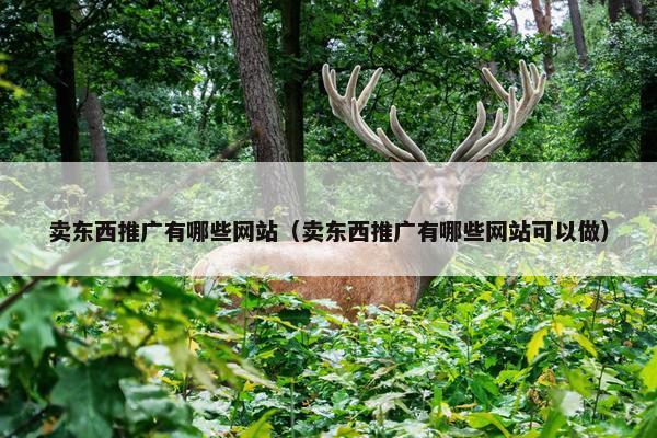 卖东西推广有哪些网站（卖东西推广有哪些网站可以做）
