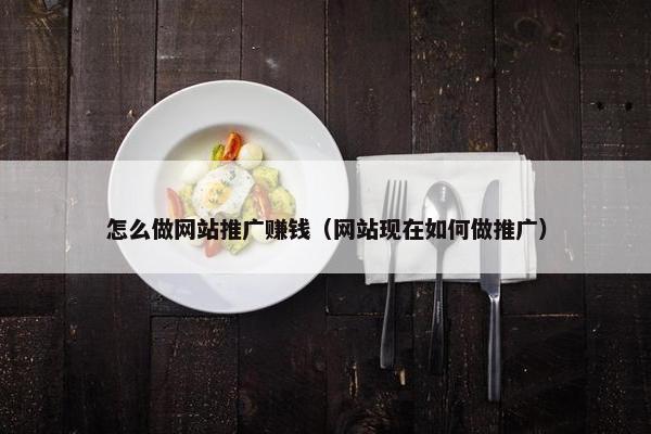 怎么做网站推广赚钱（网站现在如何做推广）
