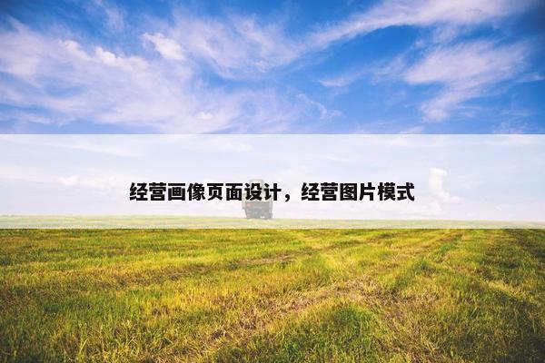 经营画像页面设计，经营图片模式