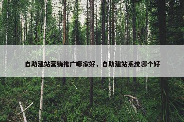 自助建站营销推广哪家好，自助建站系统哪个好