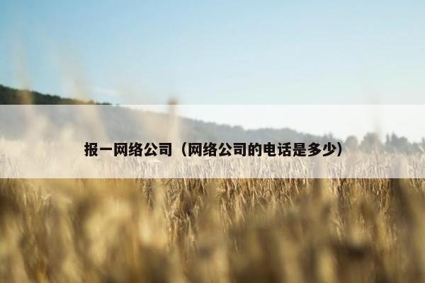 报一网络公司（网络公司的电话是多少）