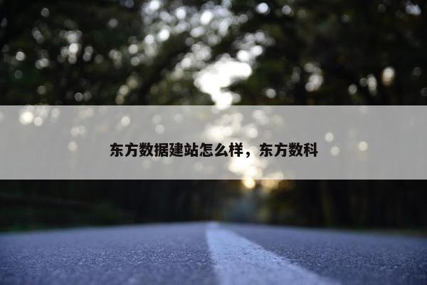 东方数据建站怎么样，东方数科