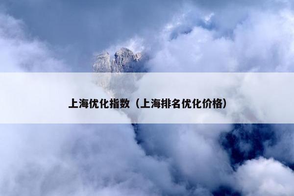 上海优化指数（上海排名优化价格）