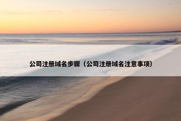 公司注册域名步骤（公司注册域名注意事项）