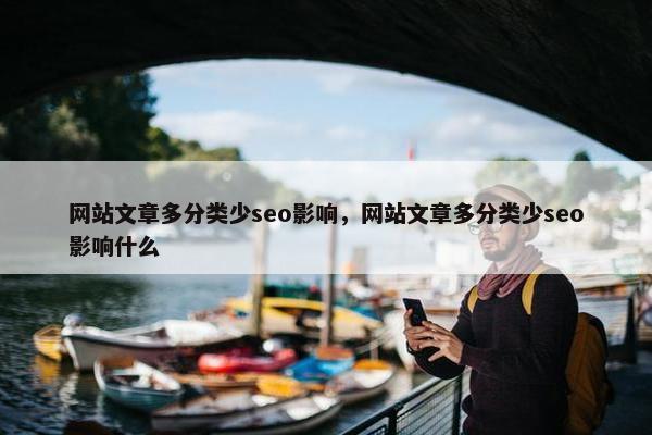 网站文章多分类少seo影响，网站文章多分类少seo影响什么