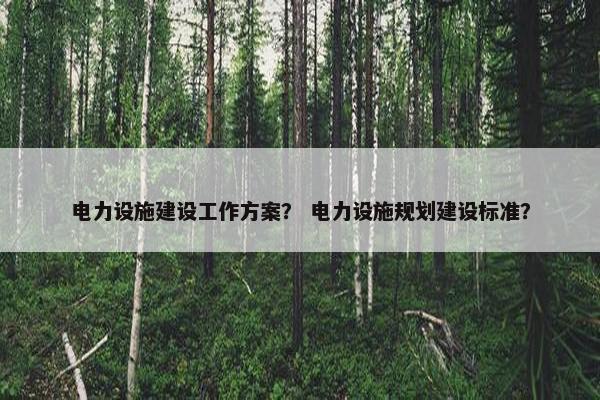 电力设施建设工作方案？ 电力设施规划建设标准？