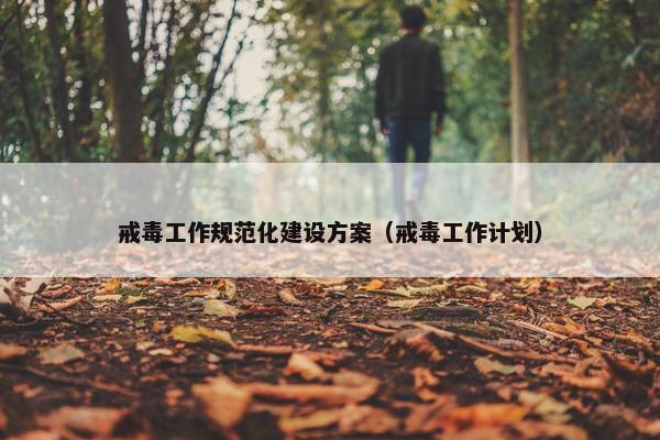 戒毒工作规范化建设方案（戒毒工作计划）