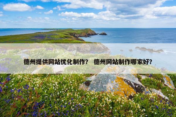 德州提供网站优化制作？ 德州网站制作哪家好？