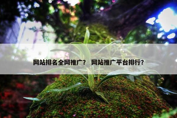 网站排名全网推广？ 网站推广平台排行？
