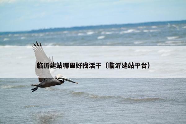 临沂建站哪里好找活干（临沂建站平台）