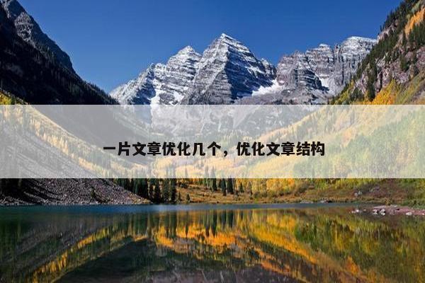一片文章优化几个，优化文章结构