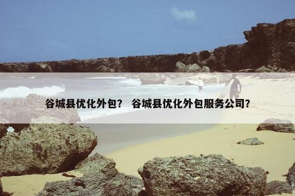 谷城县优化外包？ 谷城县优化外包服务公司？