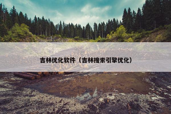 吉林优化软件（吉林搜索引擎优化）
