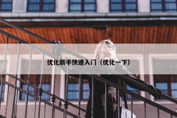 优化新手快速入门（优化一下）