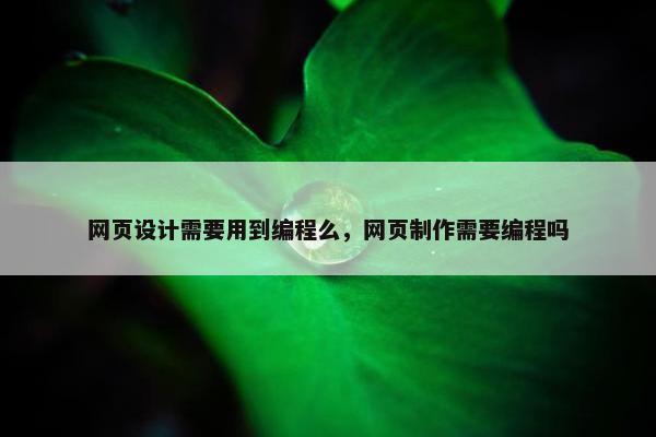 网页设计需要用到编程么，网页制作需要编程吗