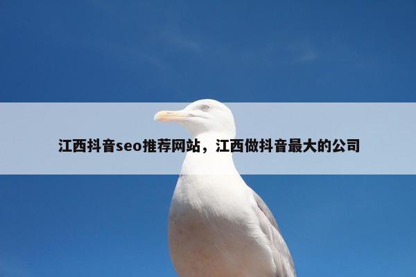 江西抖音seo推荐网站，江西做抖音最大的公司