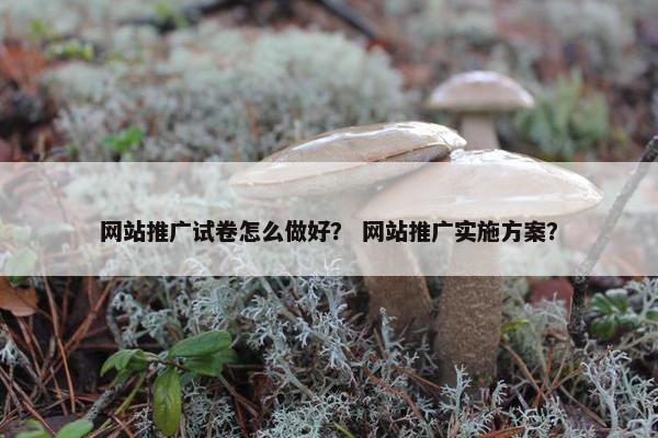 网站推广试卷怎么做好？ 网站推广实施方案？