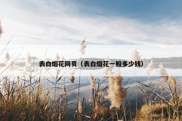 表白烟花网页（表白烟花一般多少钱）