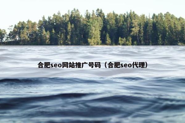 合肥seo网站推广号码（合肥seo代理）