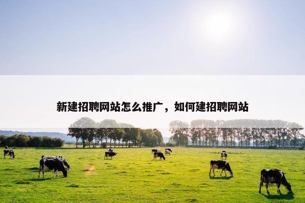 新建招聘网站怎么推广，如何建招聘网站