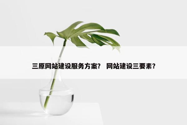 三原网站建设服务方案？ 网站建设三要素？