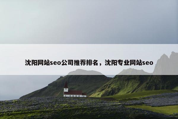 沈阳网站seo公司推荐排名，沈阳专业网站seo